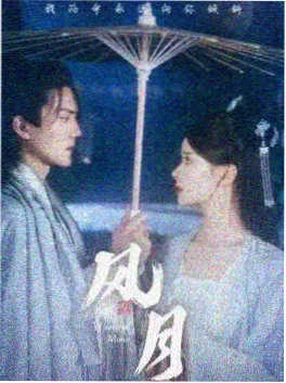 第十二个证人剧集封面